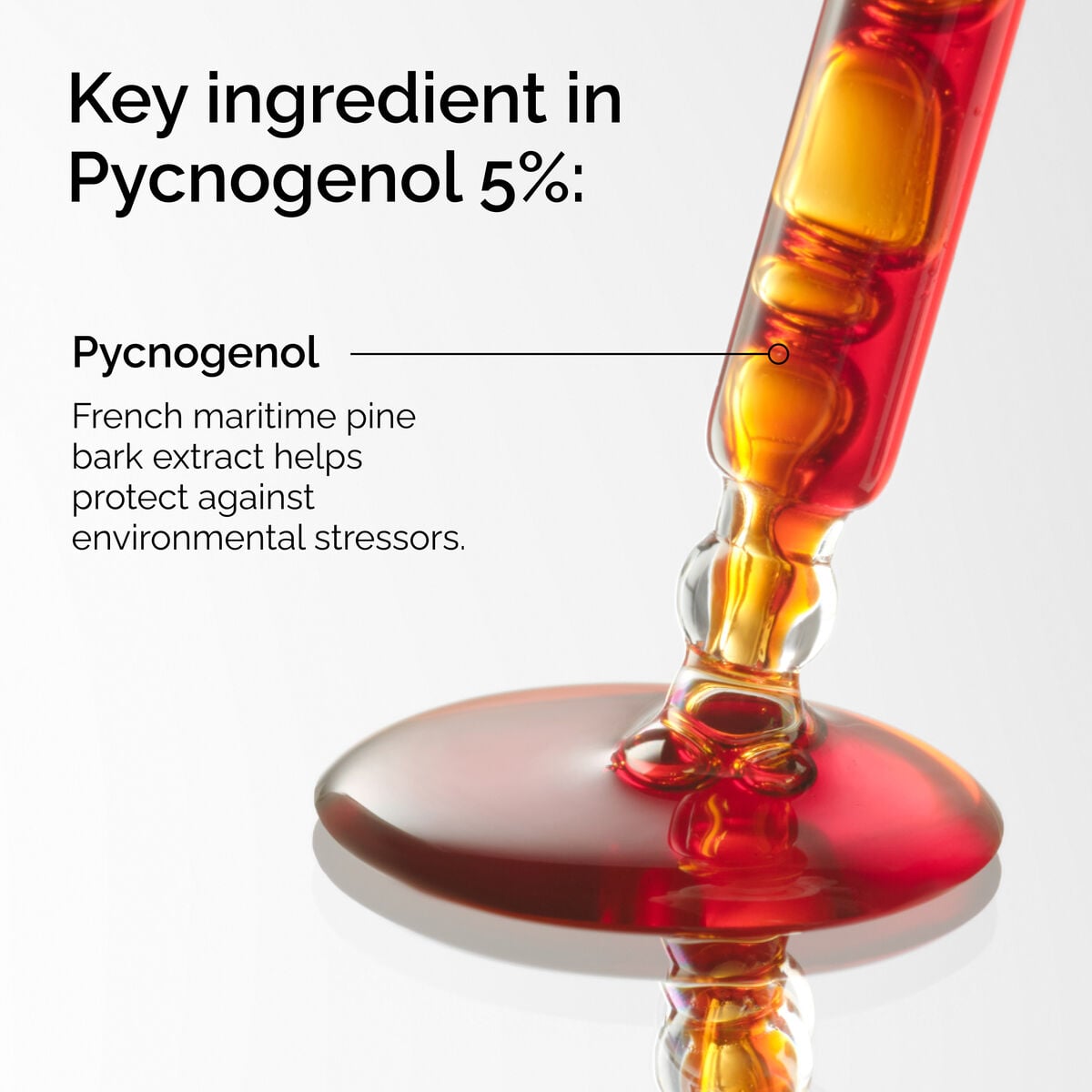 pycnogenol-5-g4 FY25-D41247-ORD-Web-PDP-Pyc-5pct-1x1-EN-2a.jpg