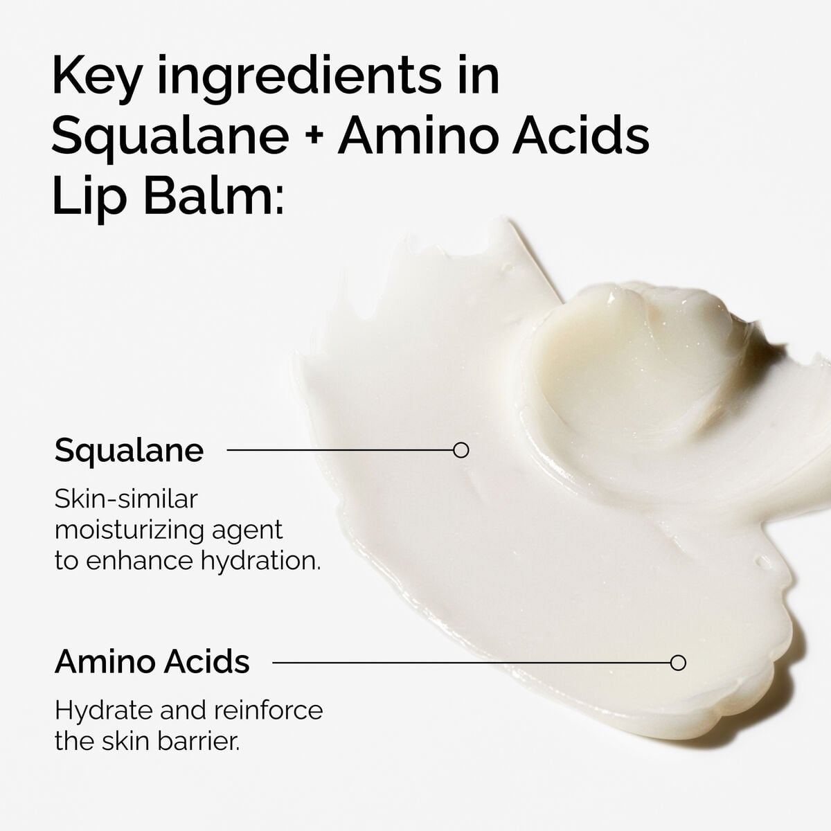 squalane-amino-acids-lip-balm-c5 FY25-D41247-ORD-Web-PDP-Sql-Amino-Lip-1x1-EN-2a.jpg