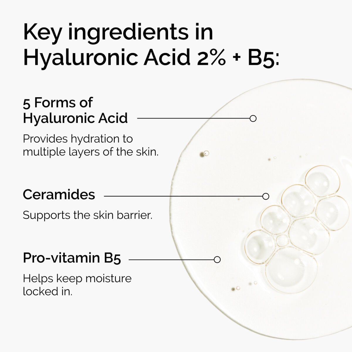 hyaluronic-acid-2-b5-with-ceramides-w9 ord-hyaluronic-acid-2pct-b5-hydrating-serum-ingredients-graphic.jpg