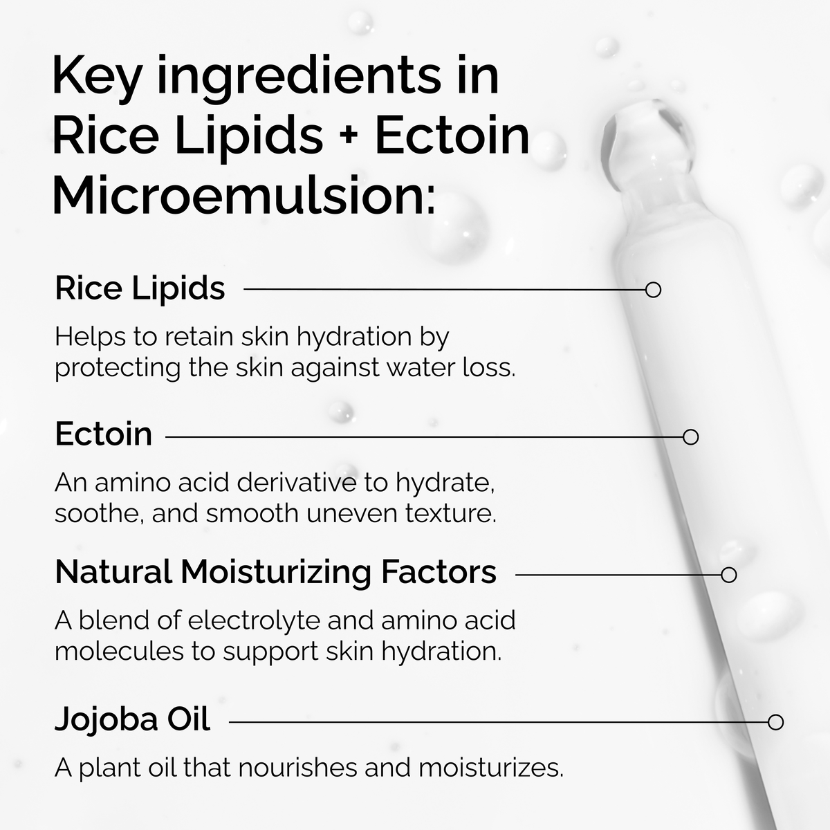 rice-lipids-ectoin-microemulsion-l5 ord-rice-lipids-ectoin-microemulsion-key-ingredients.png