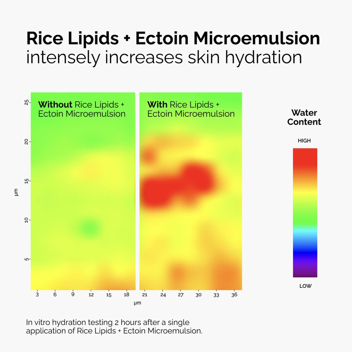 rice-lipids-ectoin-microemulsion-l5 ord-rice-lipids-ectoin-microemulsion-thermal-before-after.jpg